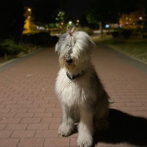 Meet your Posher, Jim